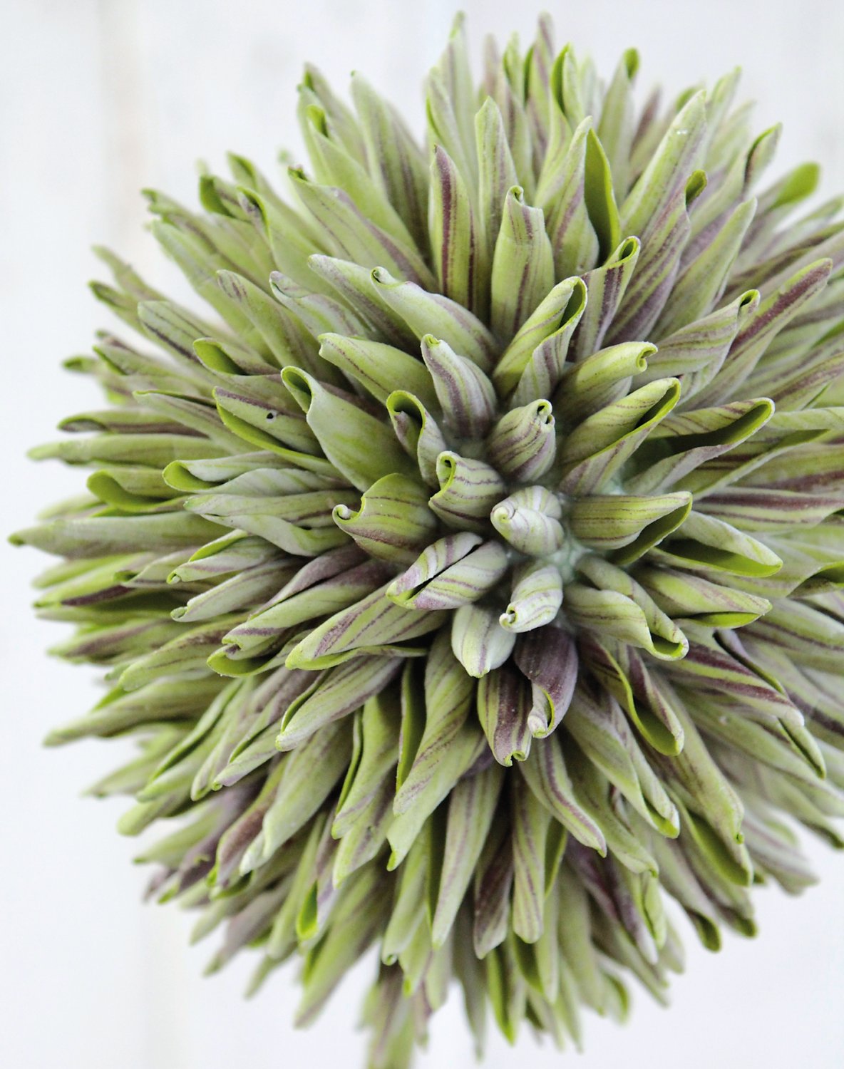 Artificial soft flower 'allium', 80 cm, green