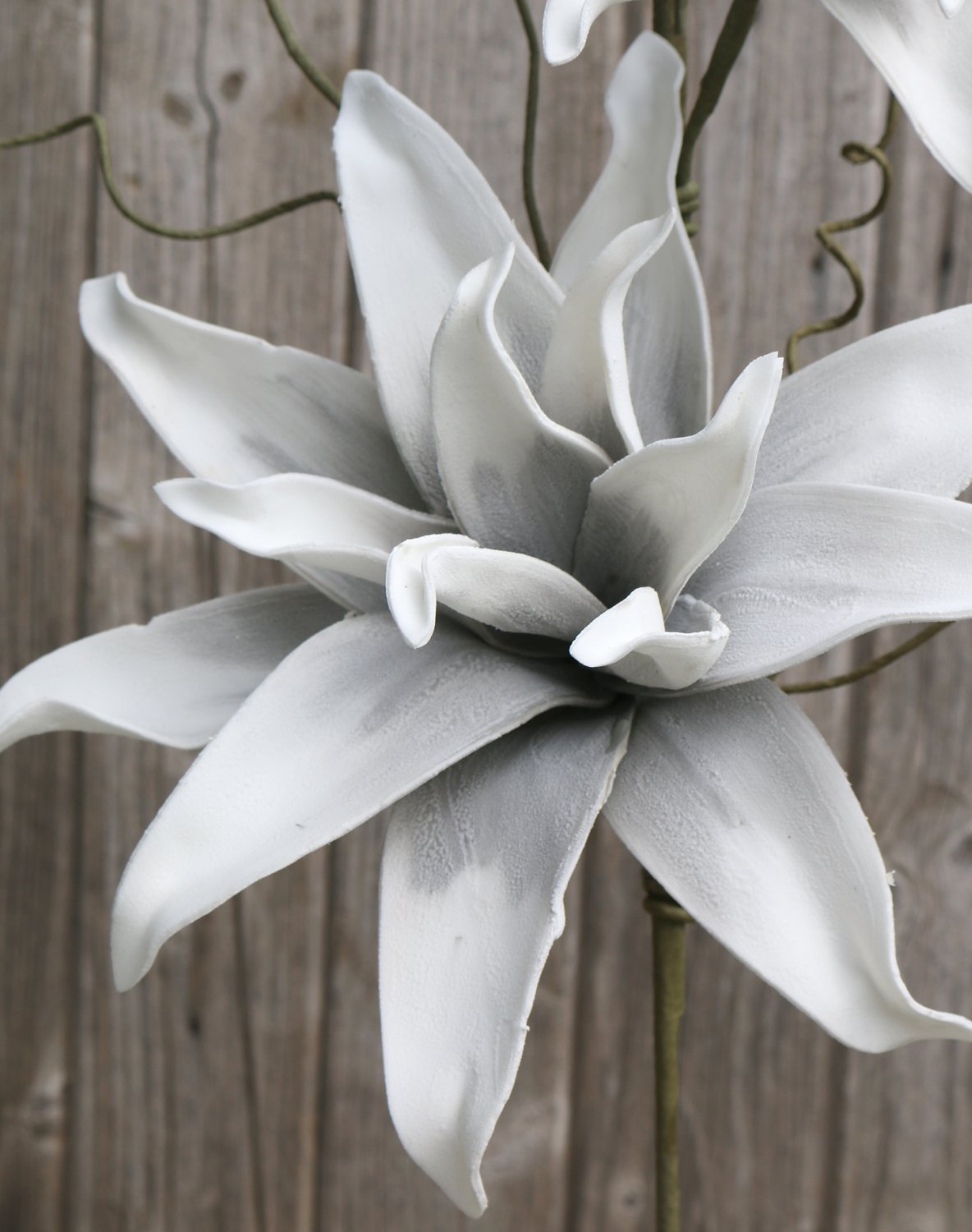 Künstlicher Soft flower 'Blütenzweig', 2 Blüten, 105 cm, grau