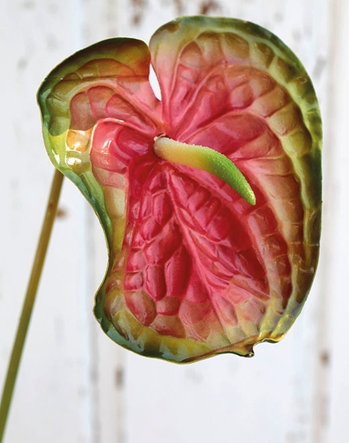 Künstliche Anthurium, 74 cm, rot-grün