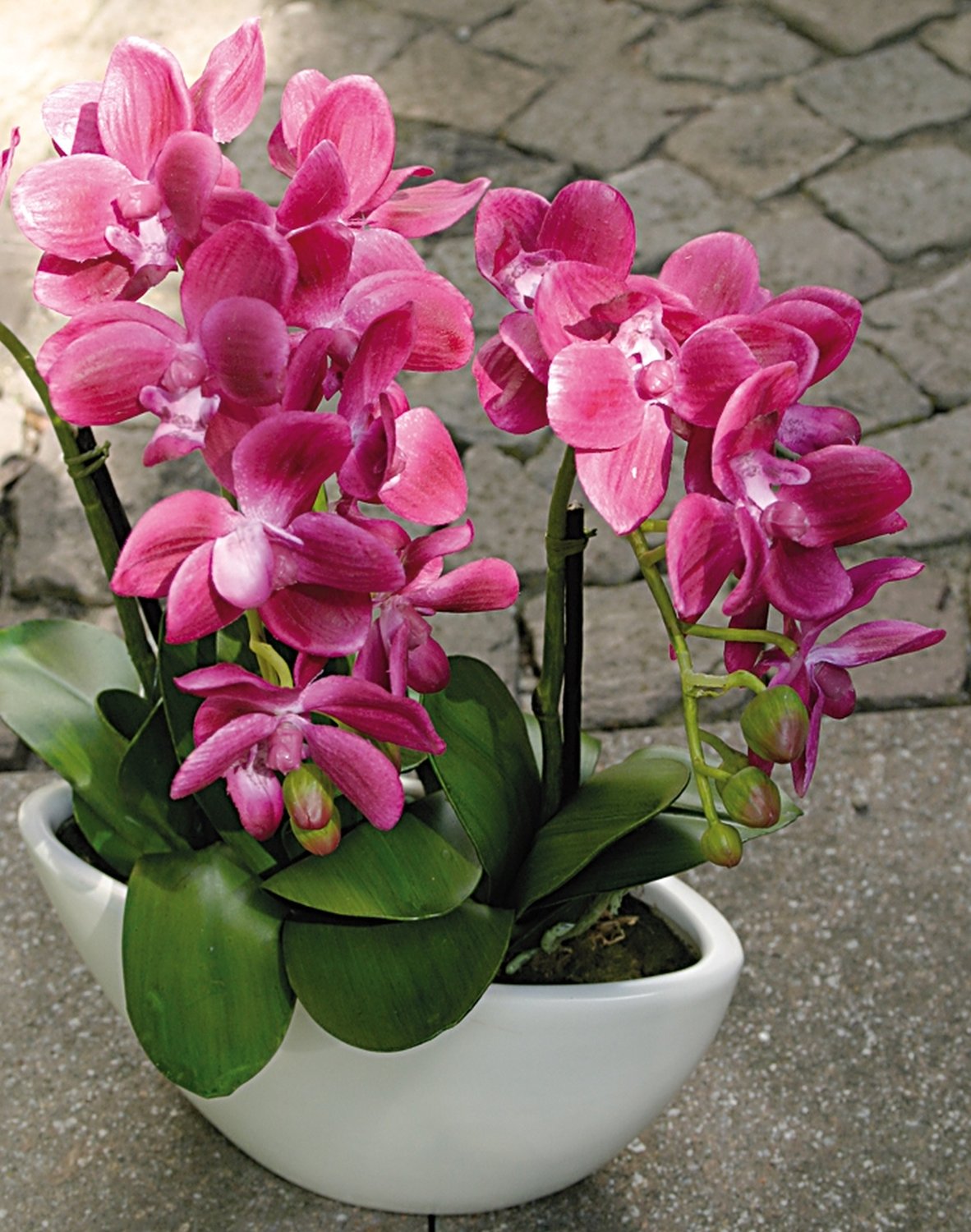 Plastic orchid Phalaenopsis, 3-fold, in bowl, 38 cm, real touch, cerise