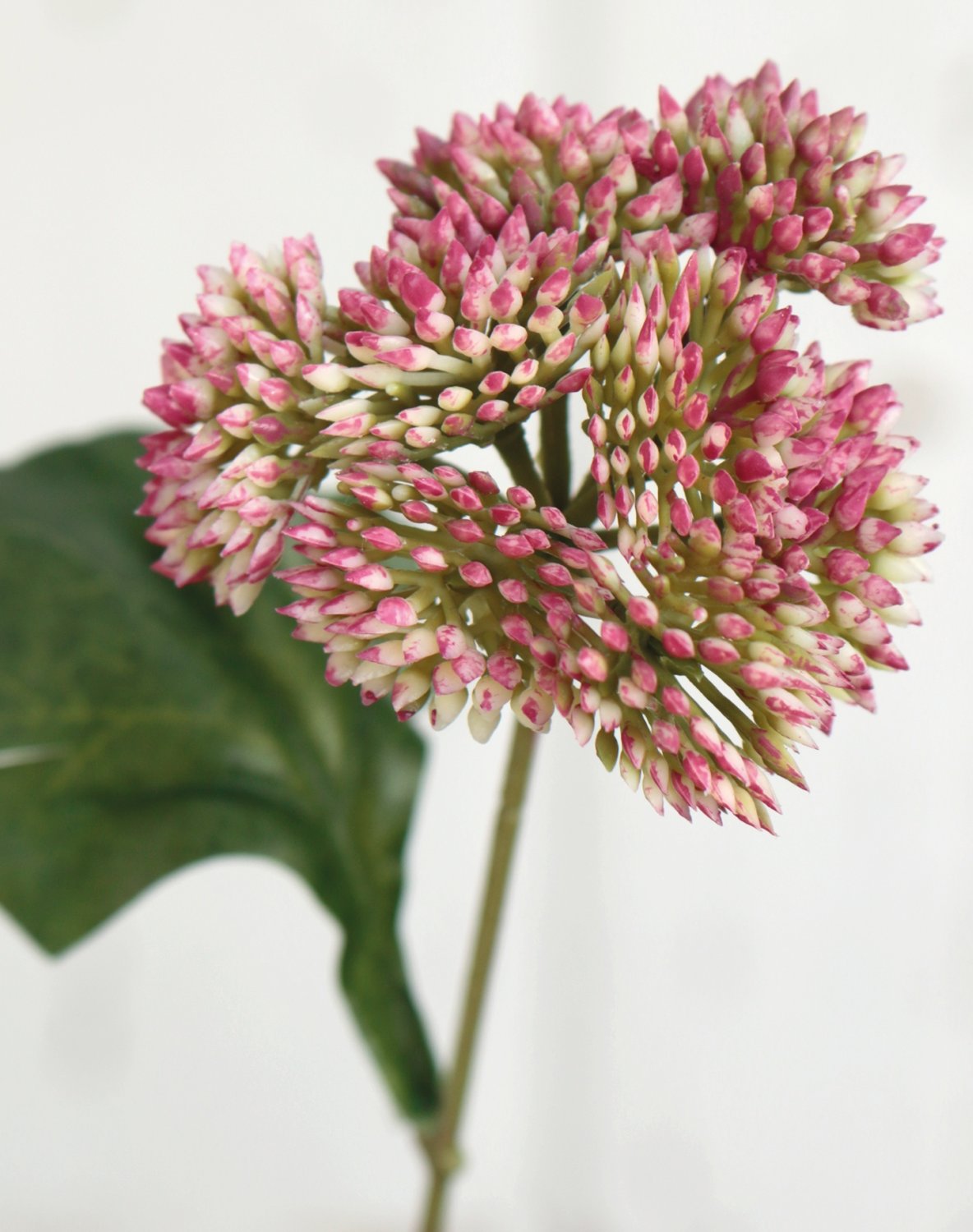 Fake Viburnum stem, 65 cm, green-pink