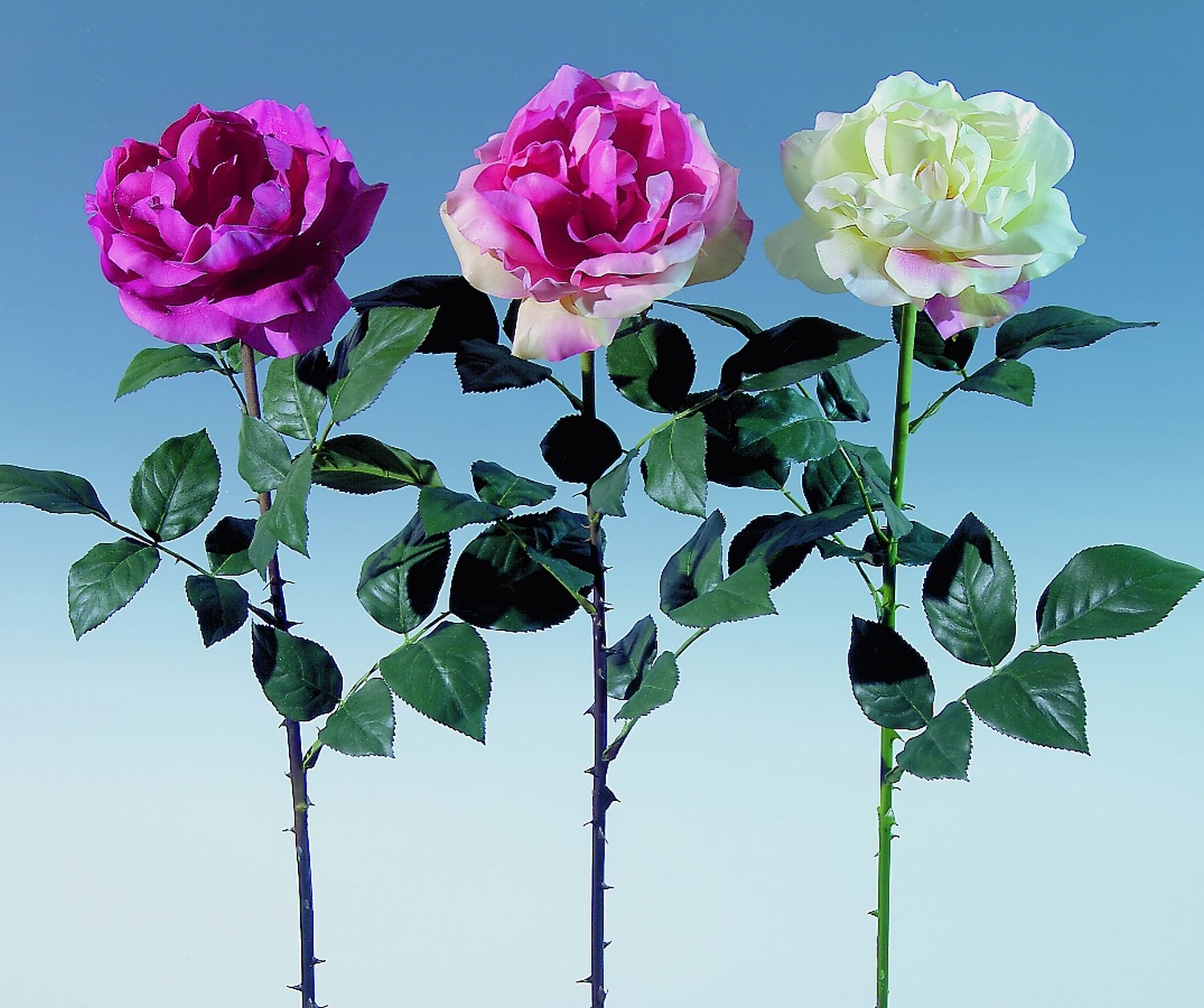 Künstliche Rose Kolumbien, 80 cm, Real Touch, pink