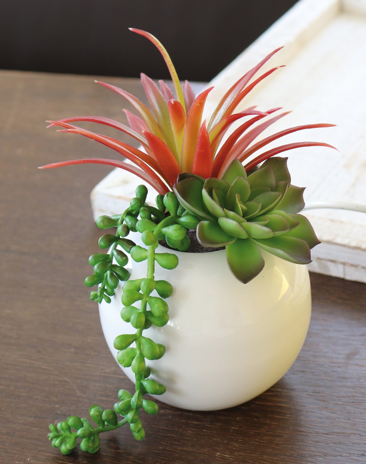 Artificial succulents-mix in ceramic pot, 20 cm, green-burgundy