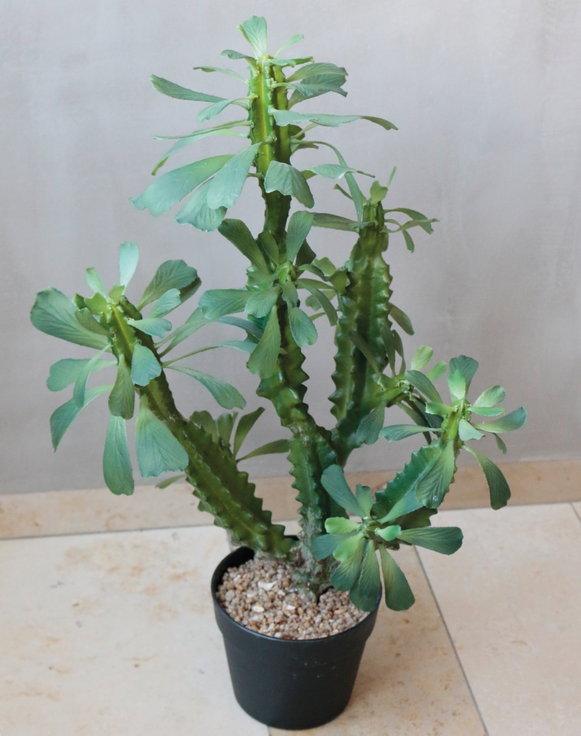 Artificial euphorbia trigona, potted, 63 cm, green