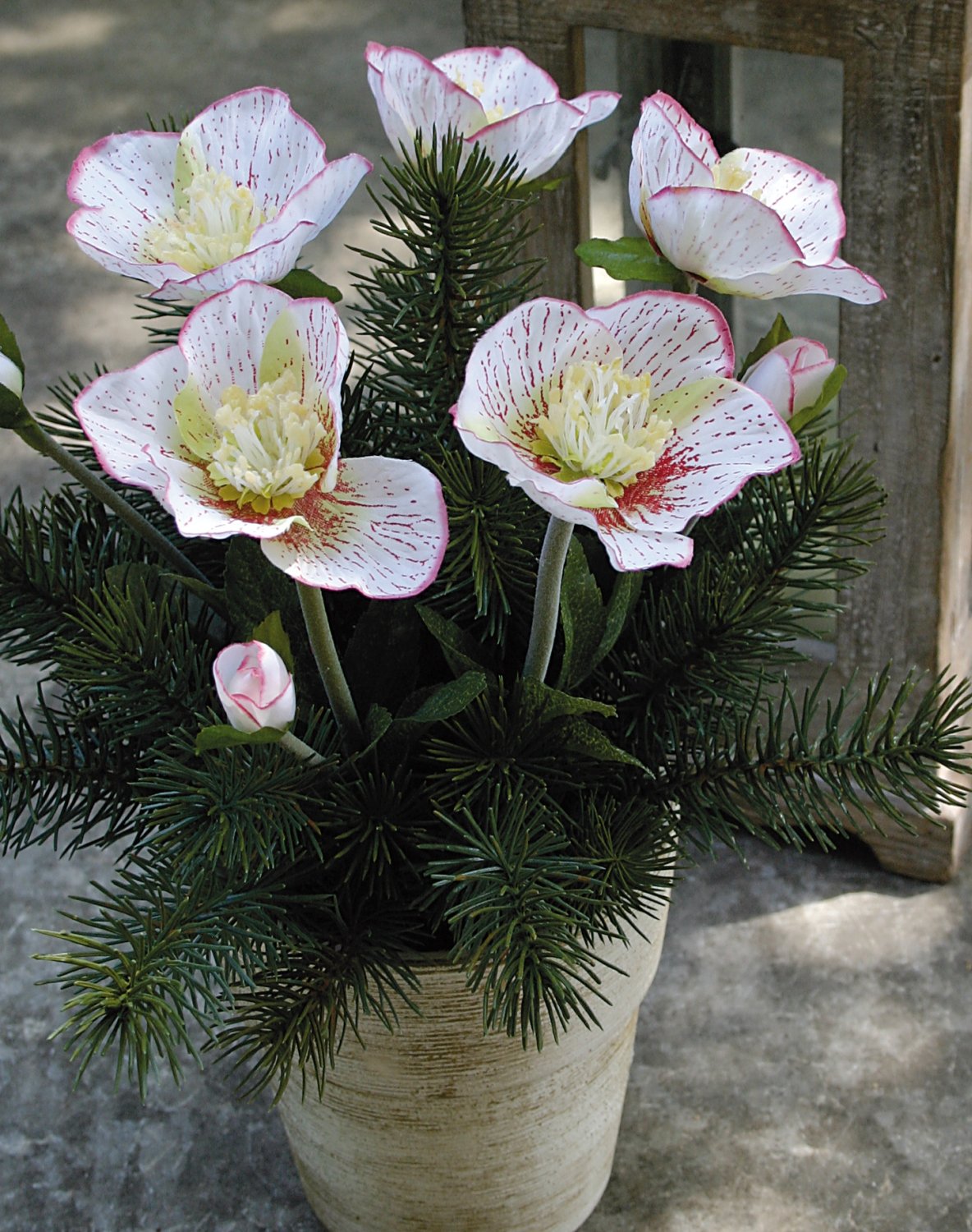 Künstliche Christrosen im Topf, mit Tanne, 33 cm, weiß-rosa