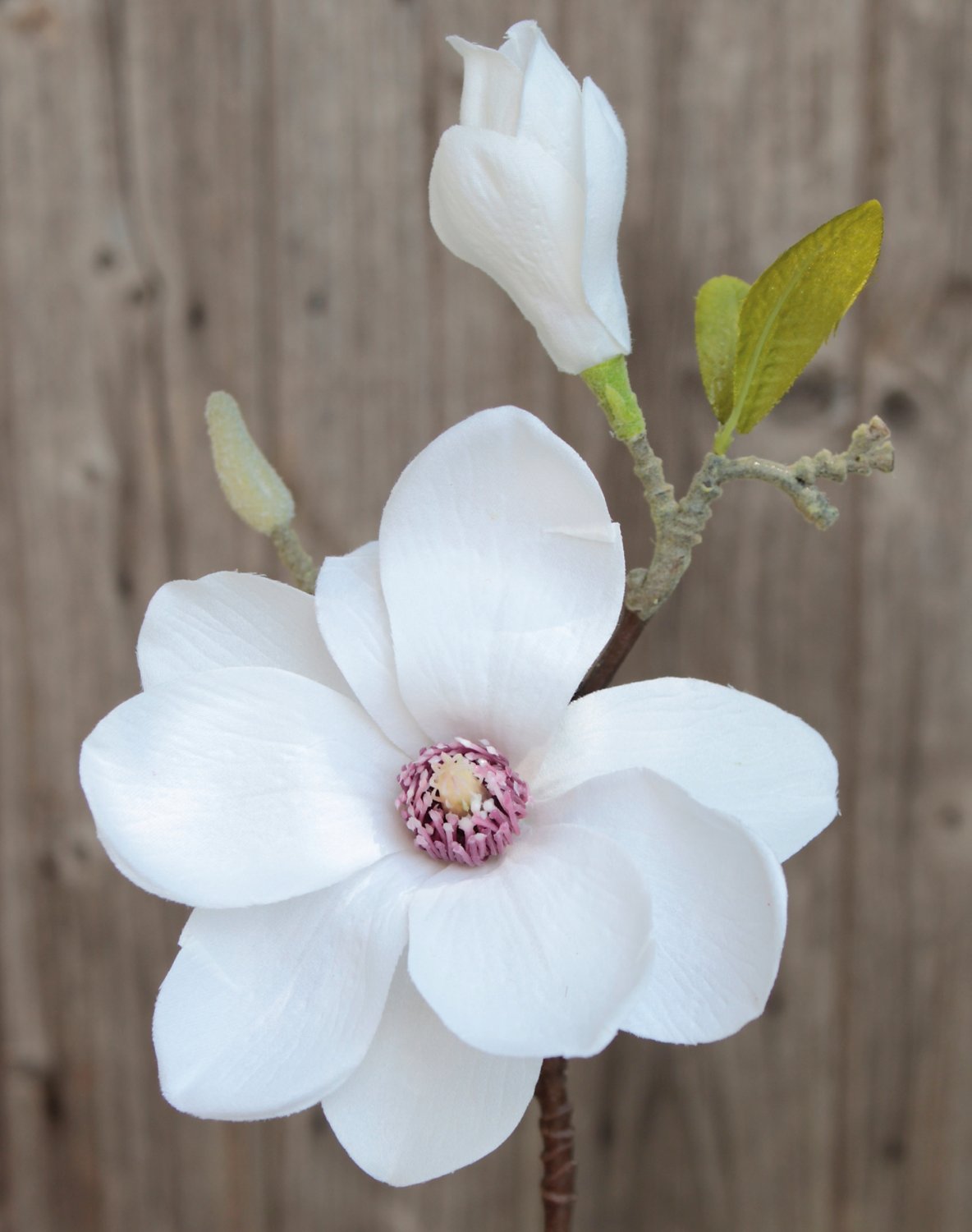 Ramo fiorito di magnolia artificiale, 36 cm, bianco-crema