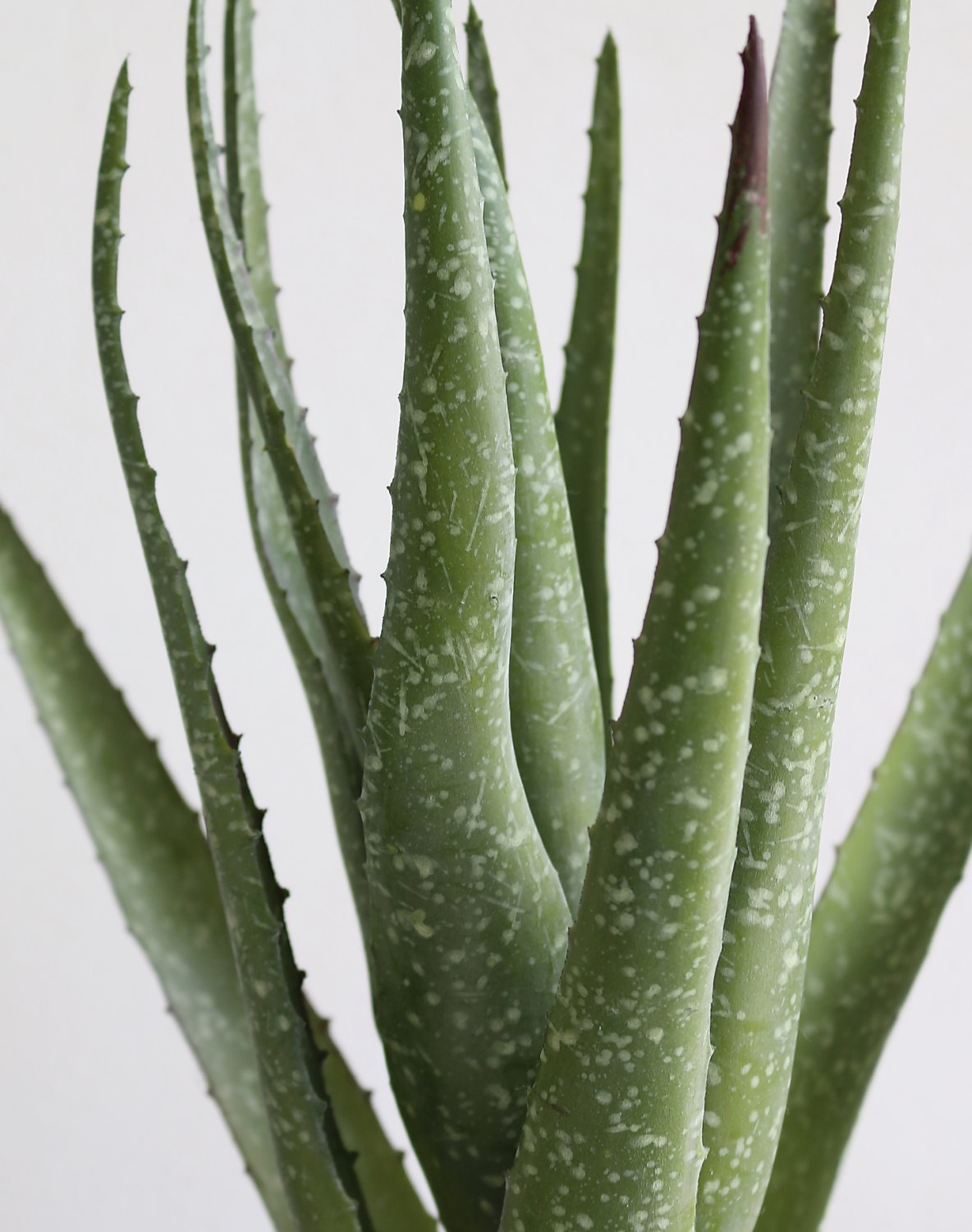 Fake aloe, potted, 35 cm, green