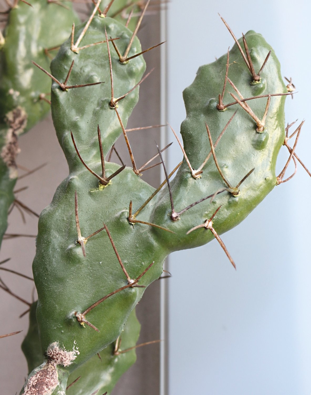 Artificial cactus prickly pear, potted, 130 cm, green