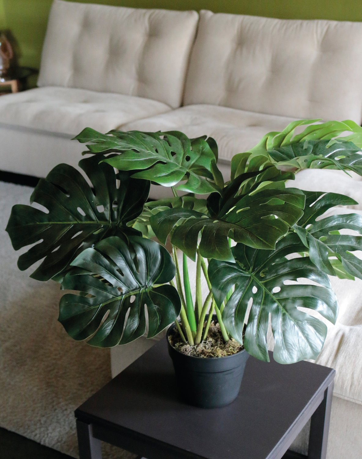 Monstera artificiale (foglia di finestra), in vaso, 55 cm, verde