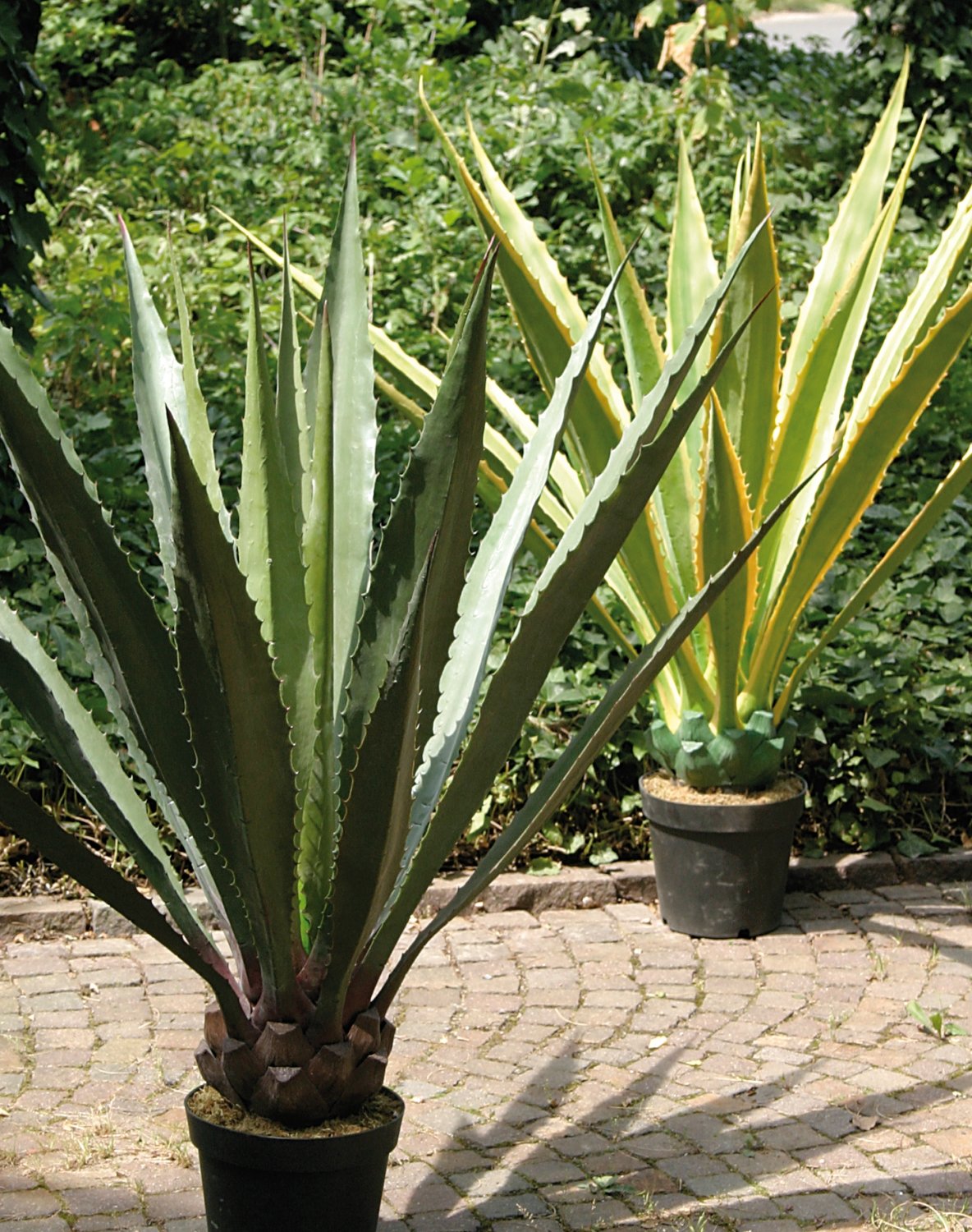 Künstliche Agave, getopft, 21 Blätter, 120 cm, grün-gelb