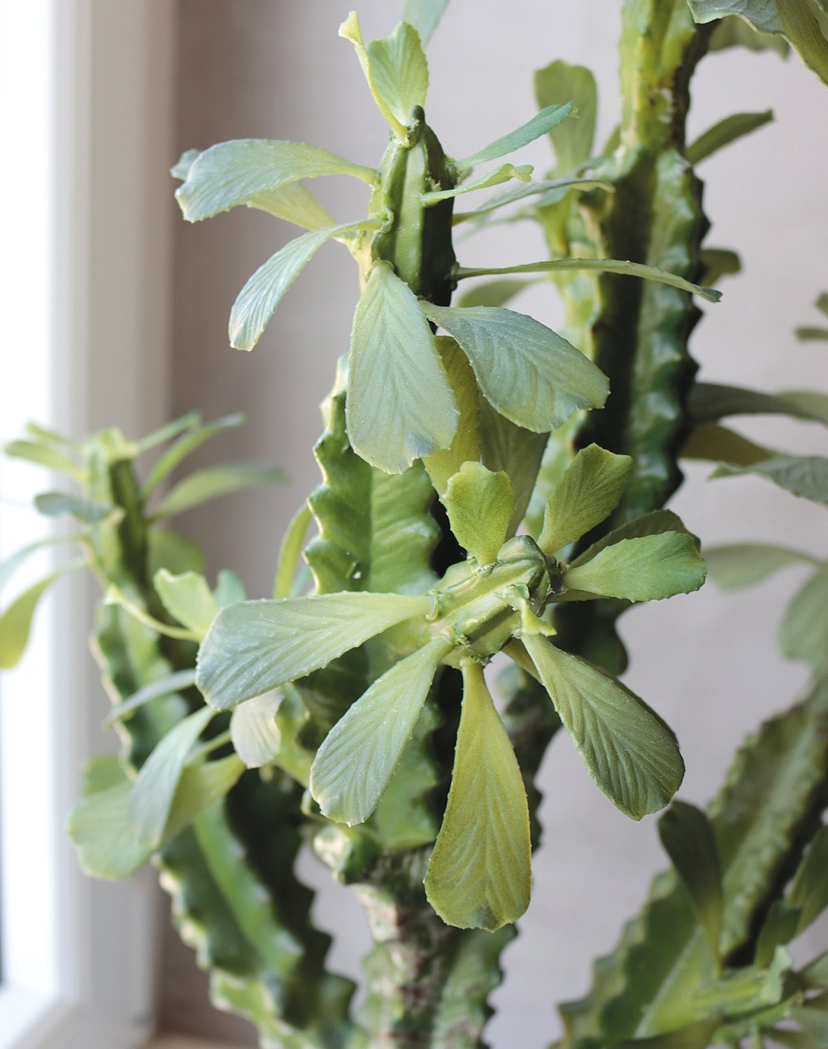 Künstliche Euphorbia trigona, getopft, 63 cm, grün