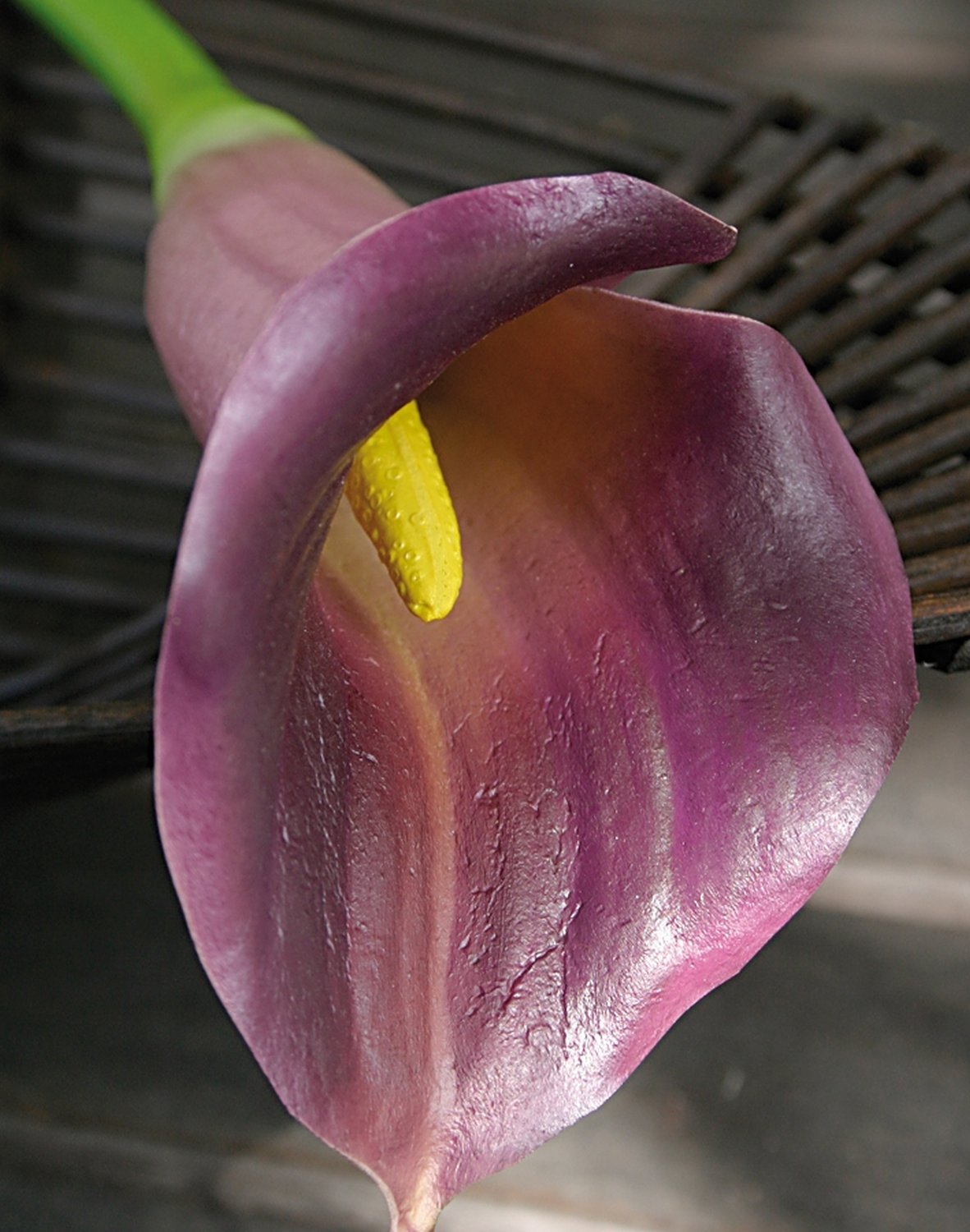 Calla artificiale, 68 cm, Real Touch Soft, viola