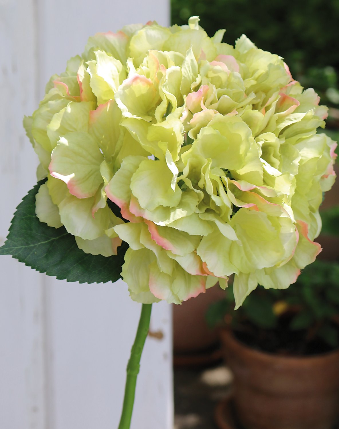 Silk hydrangea, 40 cm, beige-green