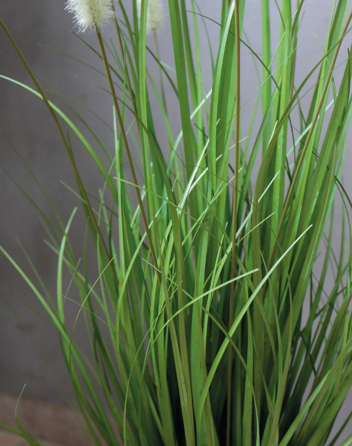 Artificial tuft of grass 'Chinese fountain grass', potted, 76 cm, green