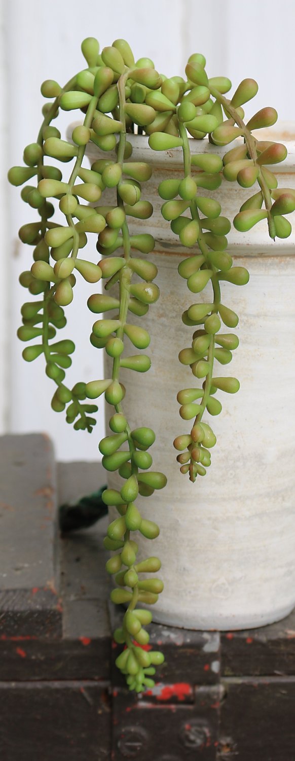 Artificial succulent, hanging, 40 cm, green-burgundy