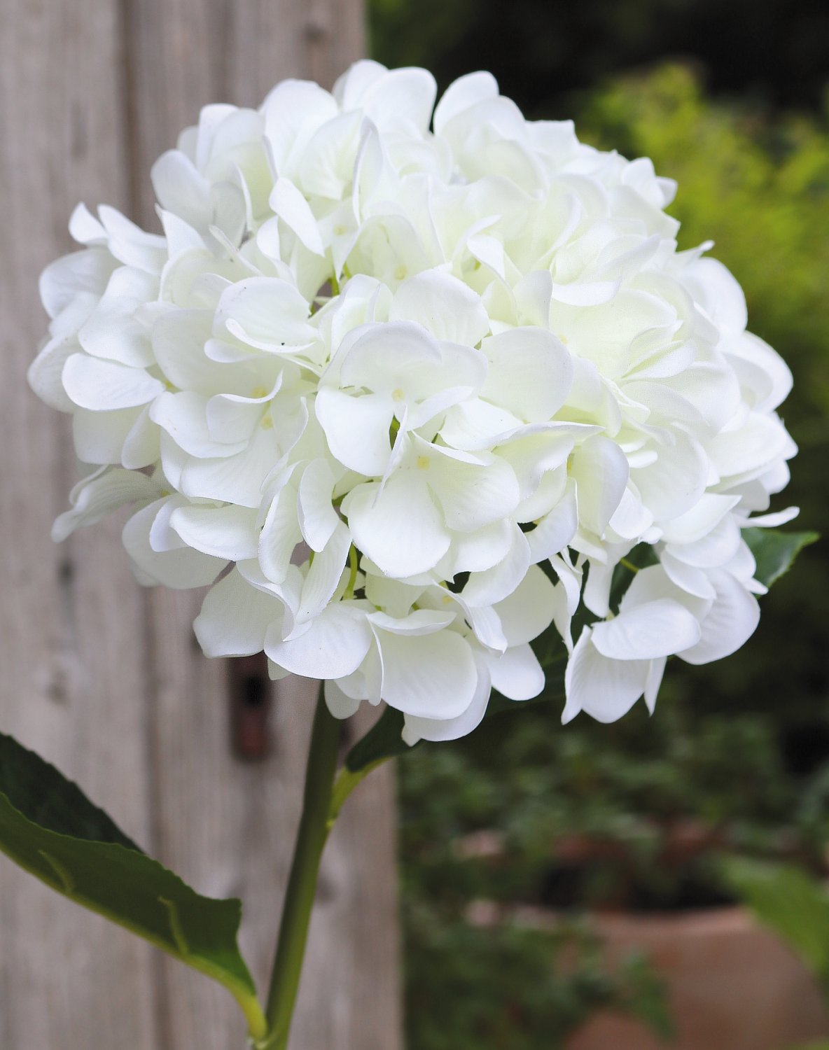 Künstliche Hortensie, 60 cm, creme-weiß