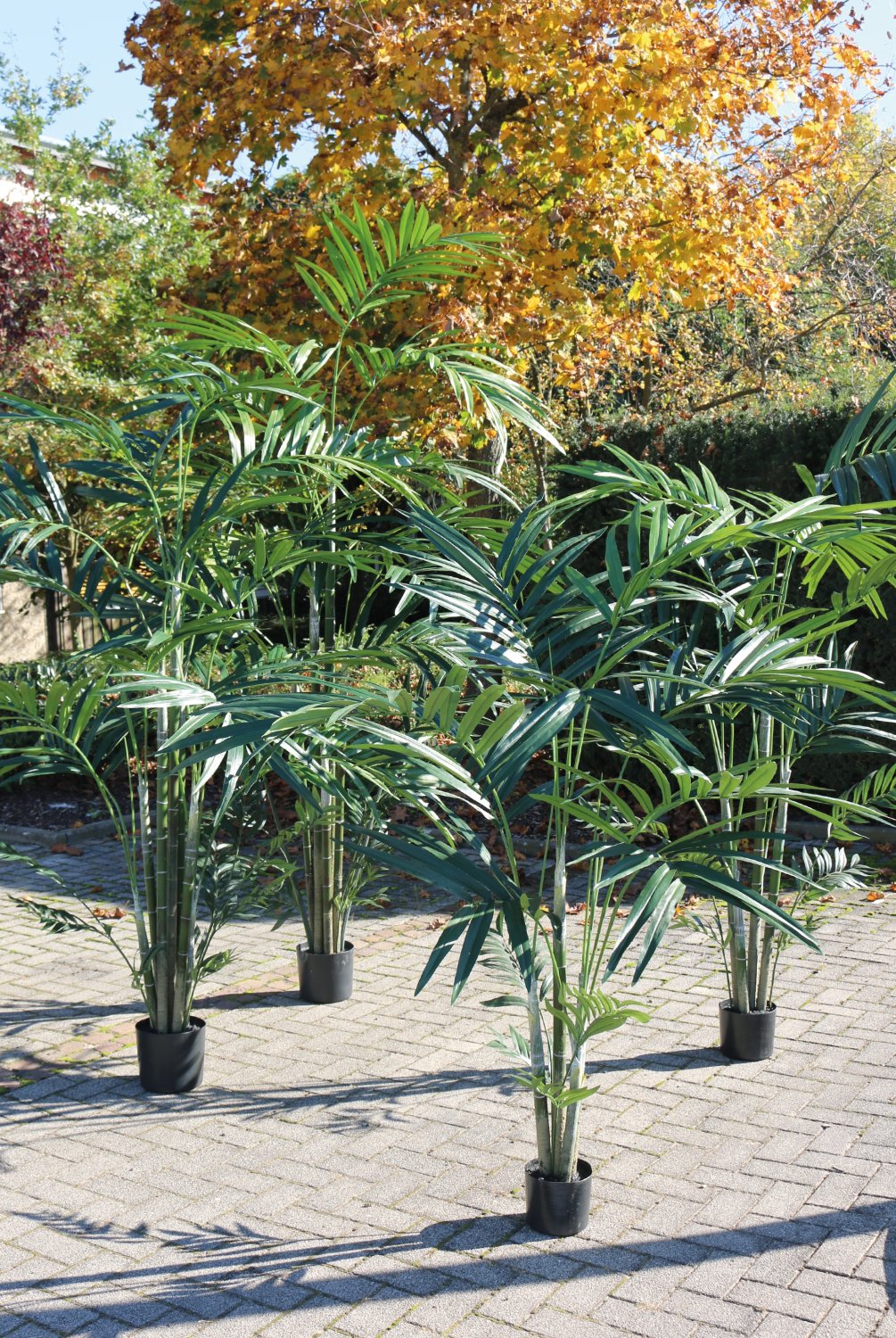 Künstliche Kentia-Palme, getopft, 210 cm, grün