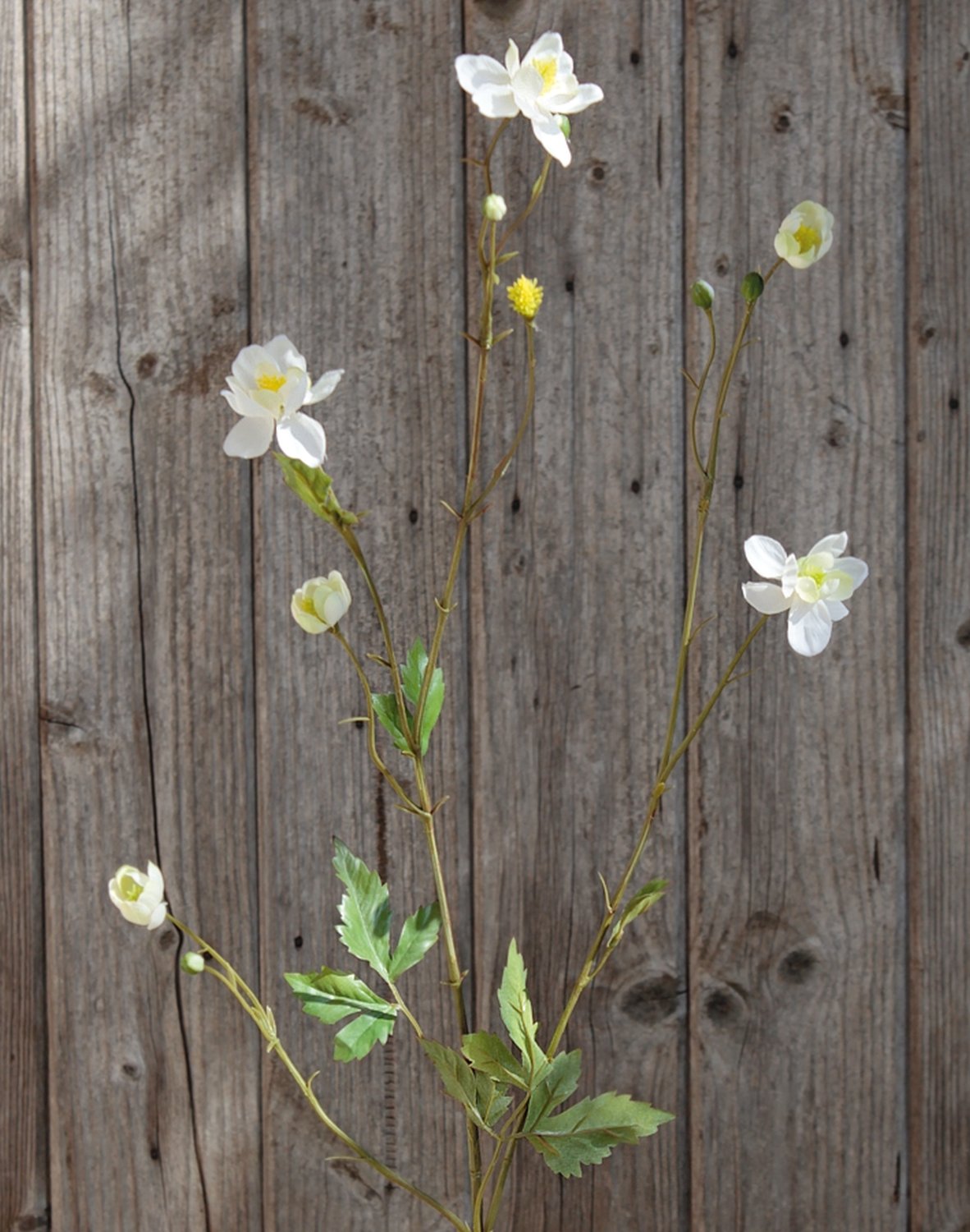 Granny's bonnet silk flower, 99 cm, beige-white