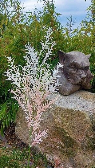 Kunstpflanze Graszweig, 78 cm, weiß-rosa Kunstpflanze Graszweig, 78 cm, weiß-rosa