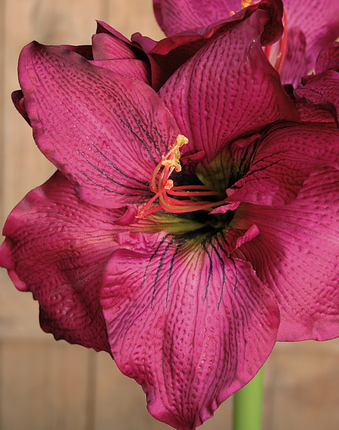 Künstliche Amaryllis, 75 cm, trendy purple