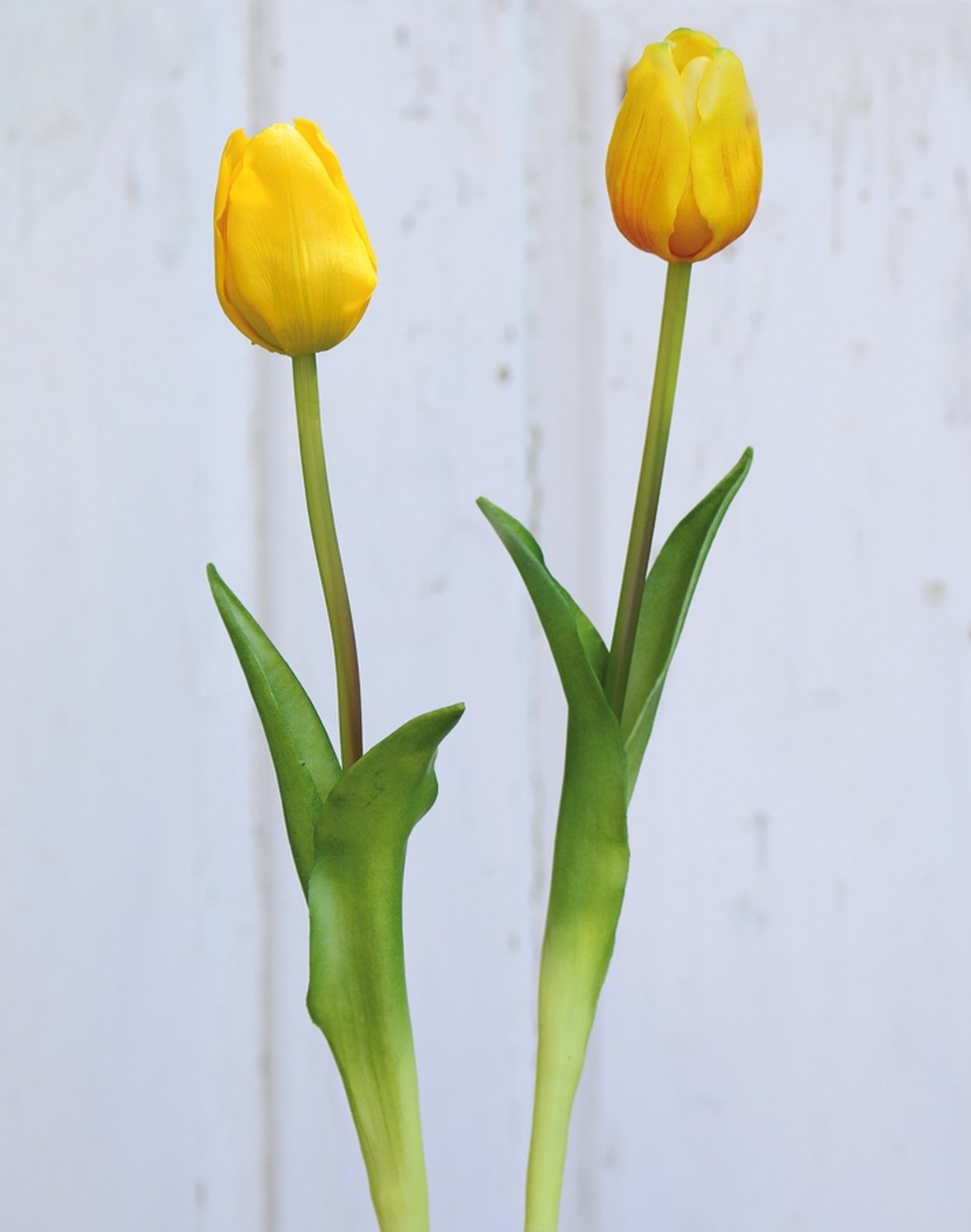 Künstliche Tulpe, französisch, 47 cm, Real Touch, gelb-orange