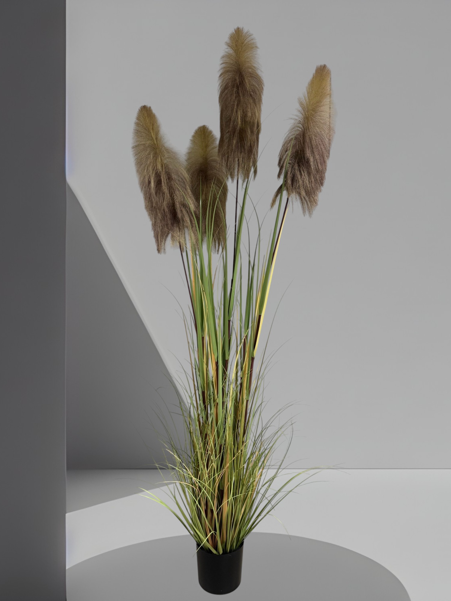 Artificial pampas grass, potted, 210 cm, green-brown