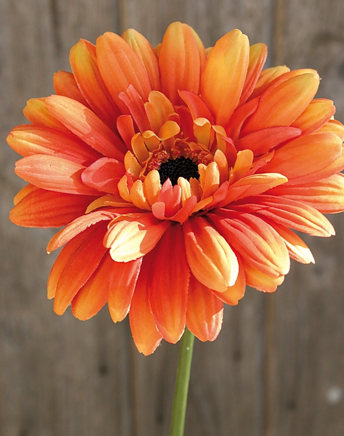 Künstliche Gerbera mit beflocktem Stiel, 55 cm, orange