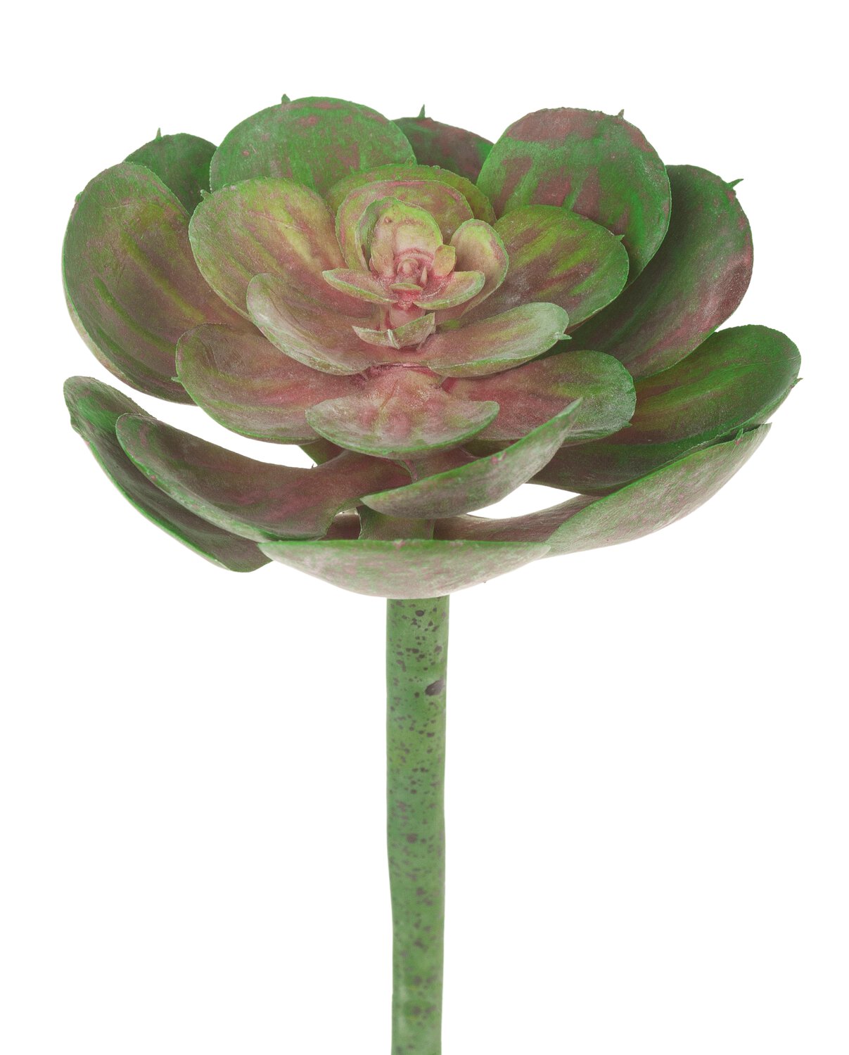 Künstliche Echeveria auf Steckstab, 15 cm, grün-rosa