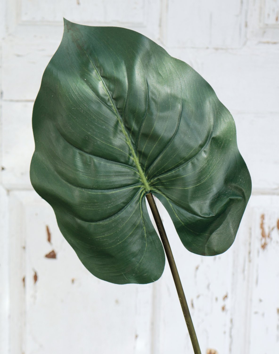 Plastic elephant ear leaf, 75 cm, green