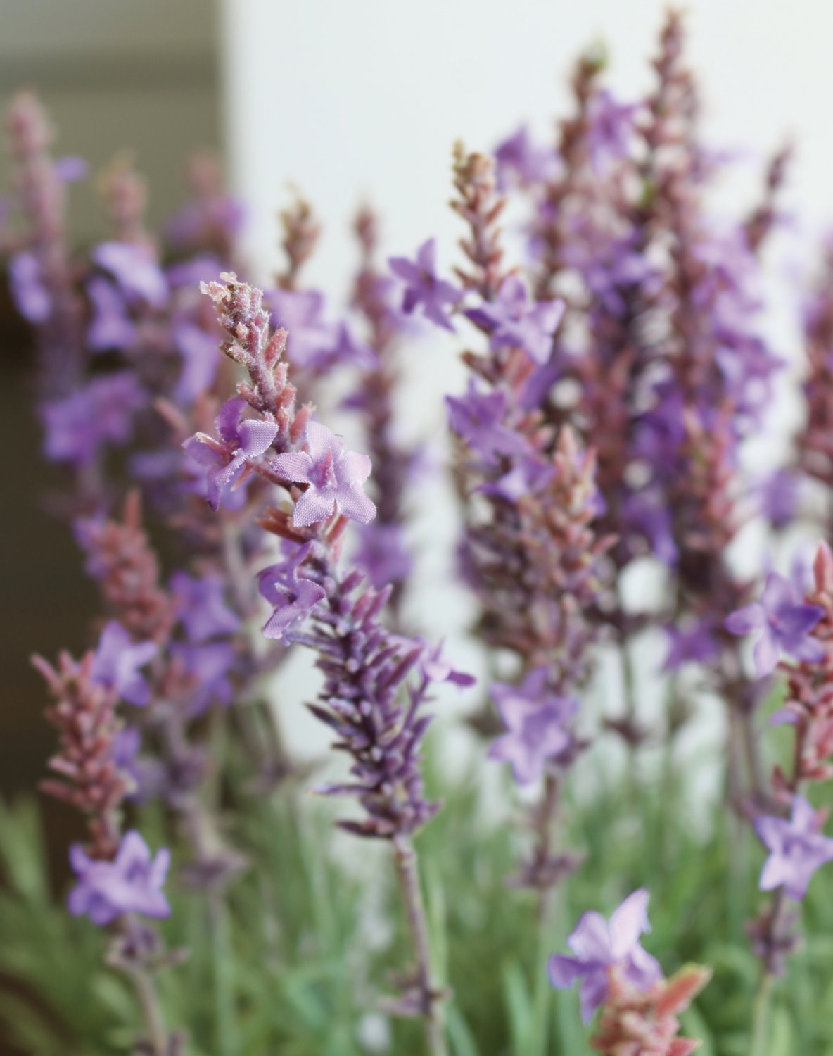 Künstlicher Lavendel im Korb, 55 cm, dunkelviolett