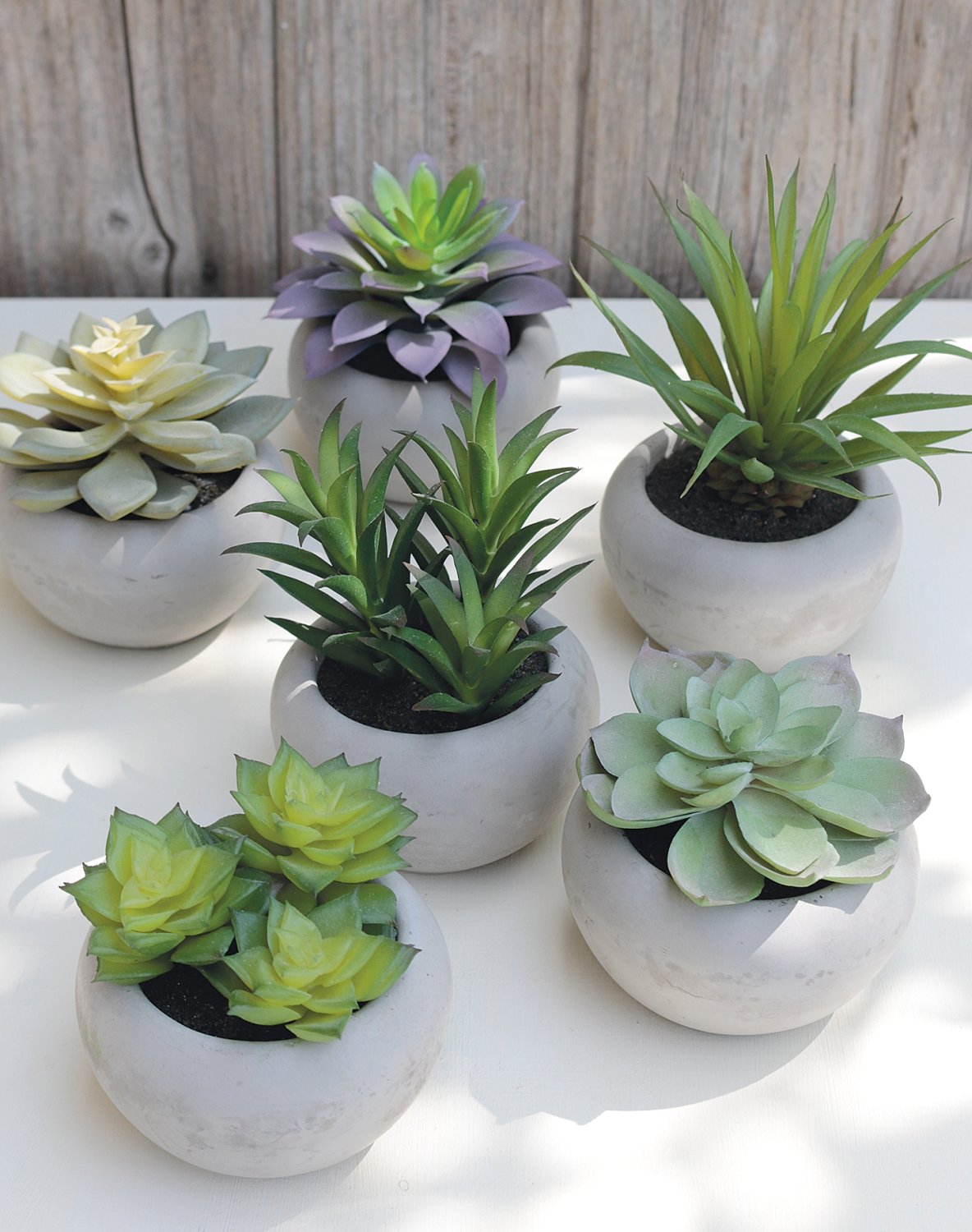 Plastic succulents-mix, potted, 6 pieces, 7-12 cm, green