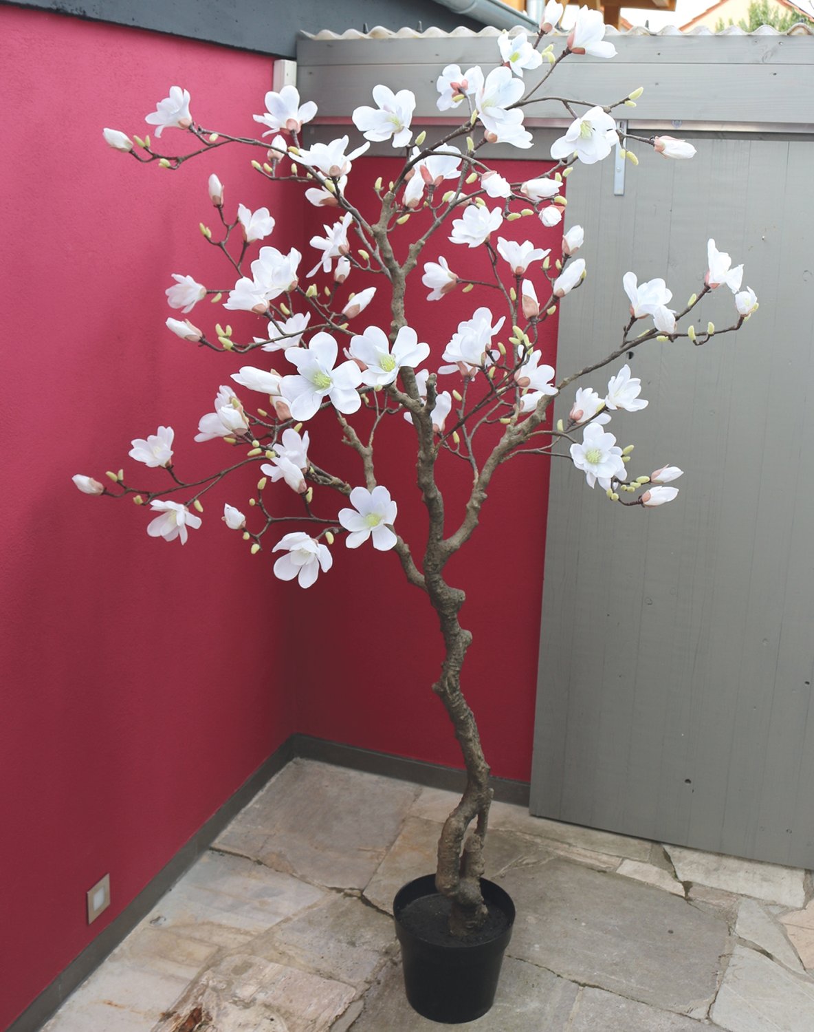 Knstlicher Magnolien Bltenbaum, getopft, 210 cm, creme-wei