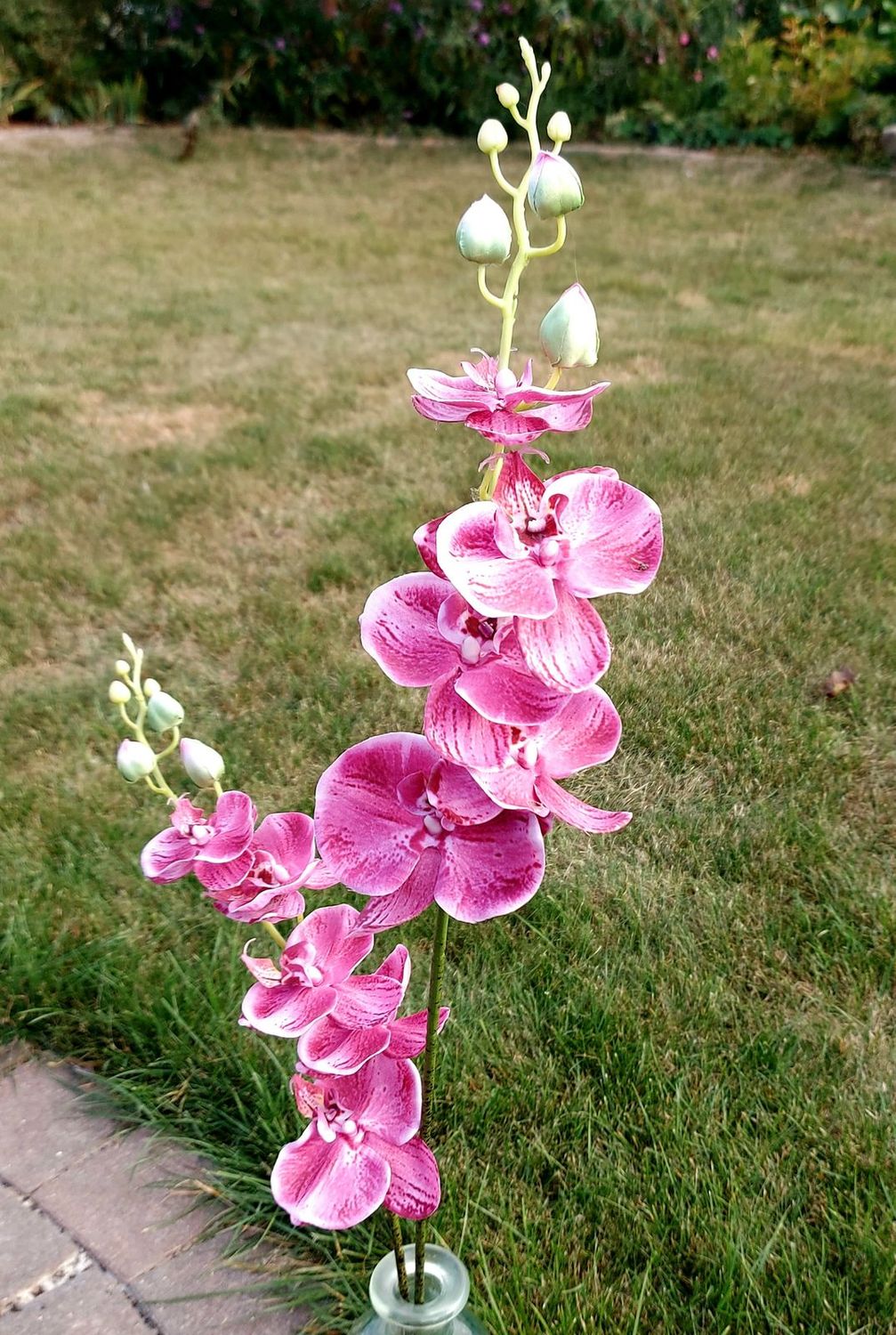Deko Orchidee Phalaenopsis, 92 cm, cerise