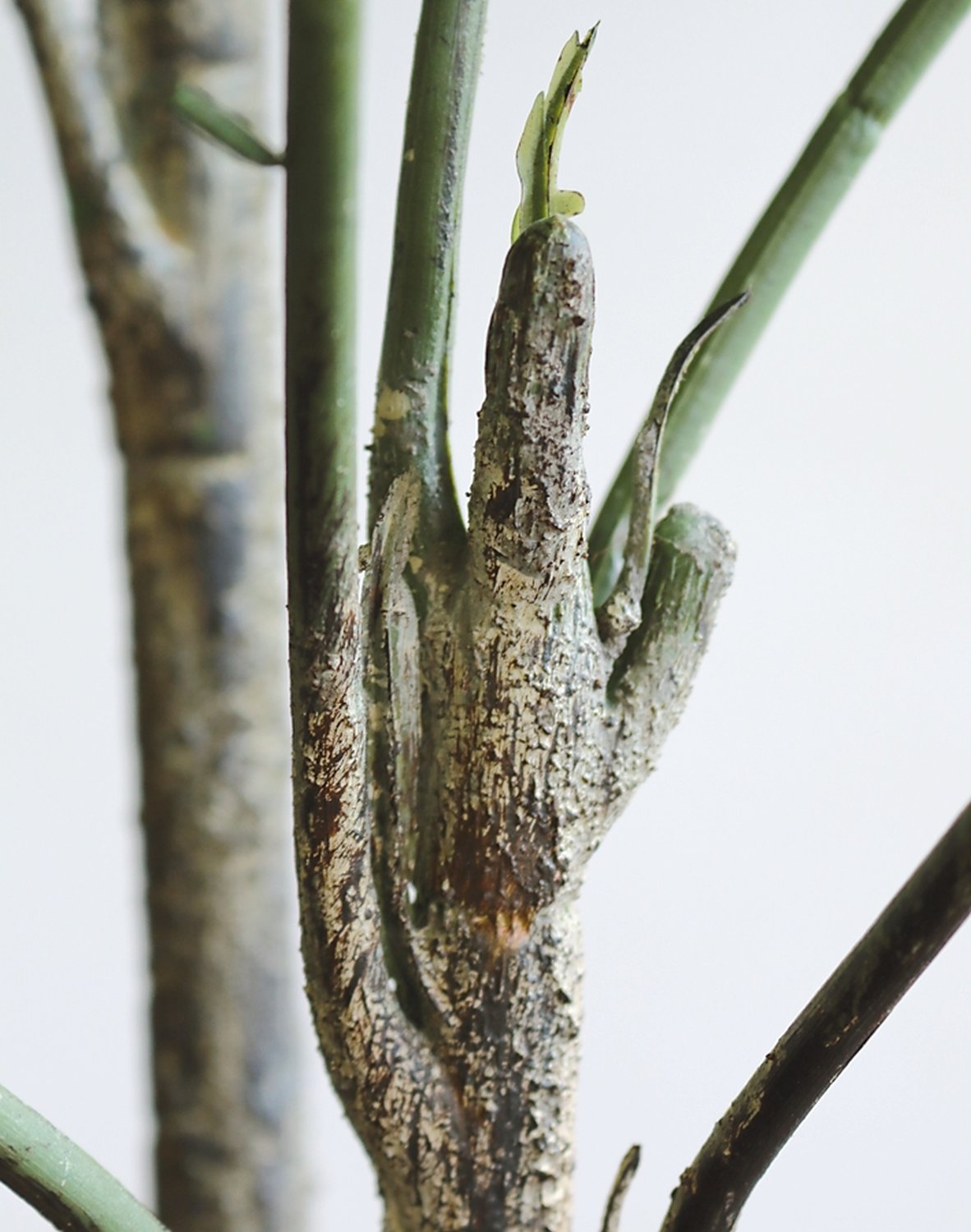 Künstliche Schefflera, getopft, 160 cm, grün