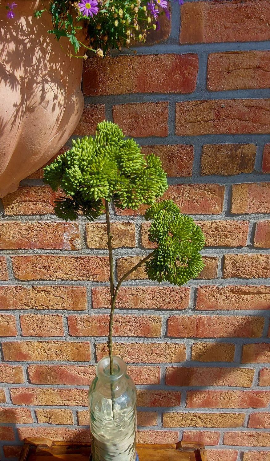 Rama de sedum artificial "Vintage", 70 cm, verde Rama de sedum artificial "Vintage", 70 cm, verde