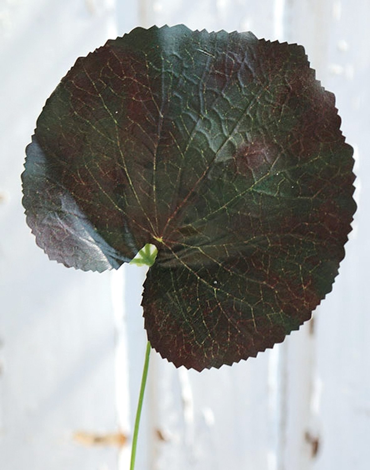 Künstliches Geranienblatt, 45 cm, grün-rot