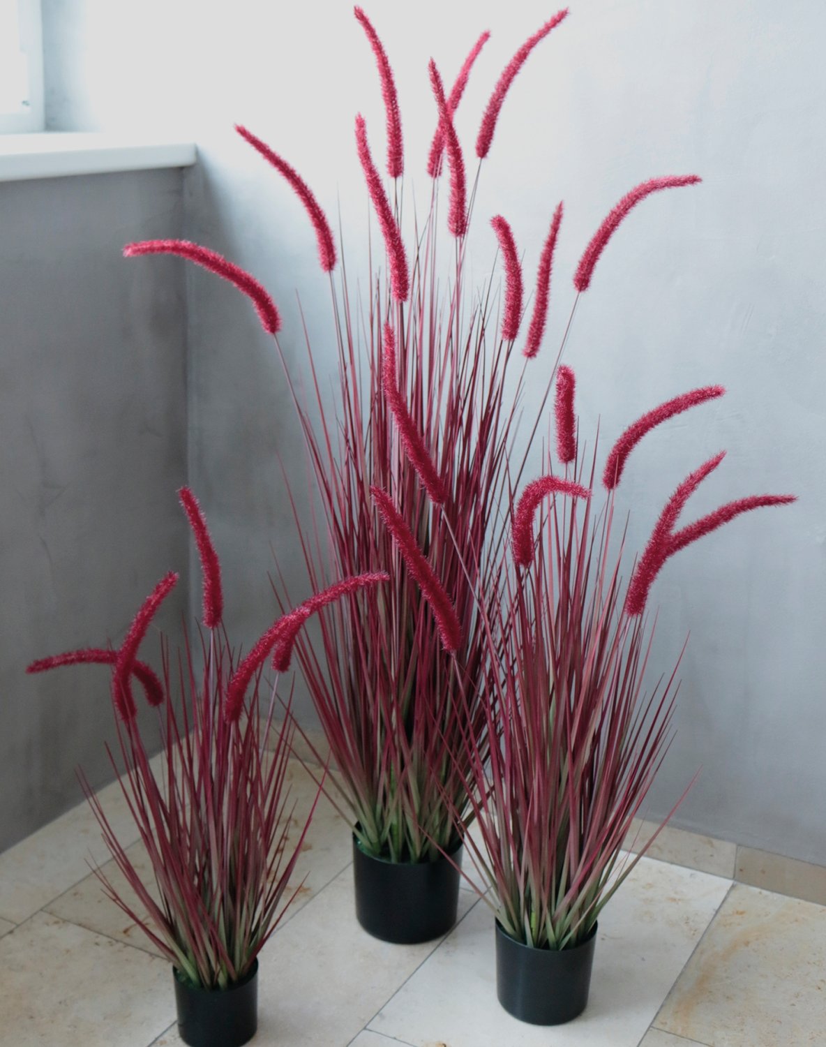 Künstlicher Grasbüschel 'Lampenputzergras', getopft, 90 cm, burgunder-grün Künstlicher Grasbüschel 'Lampenputzergras', getopft, 90 cm, burgunder-grün