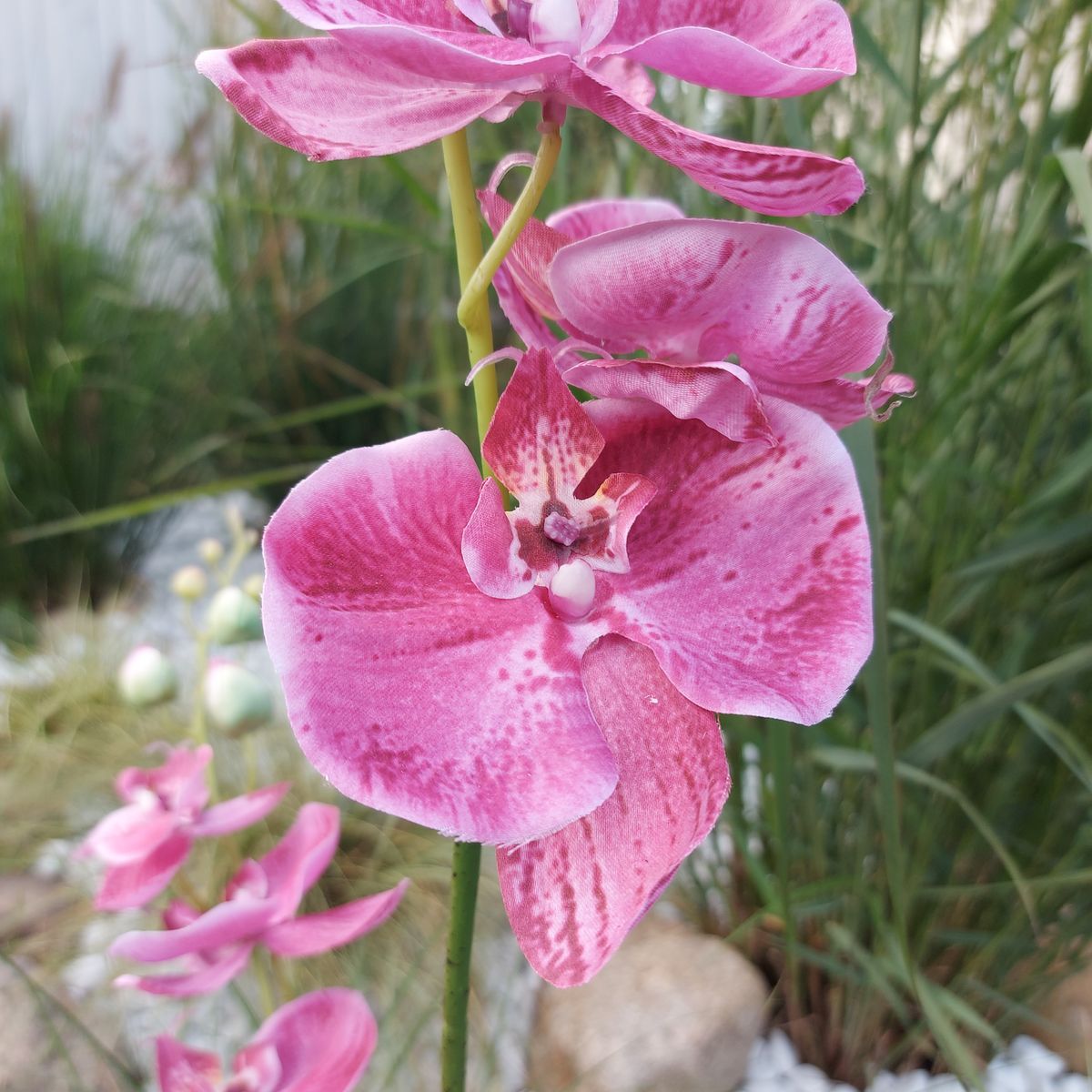 Faux orchid Phalaenopsis, 92 cm, cerise