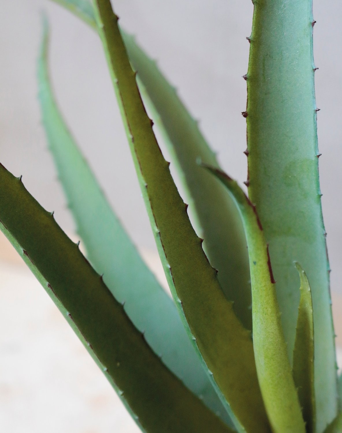 Fake aloe, potted, 43 cm, green