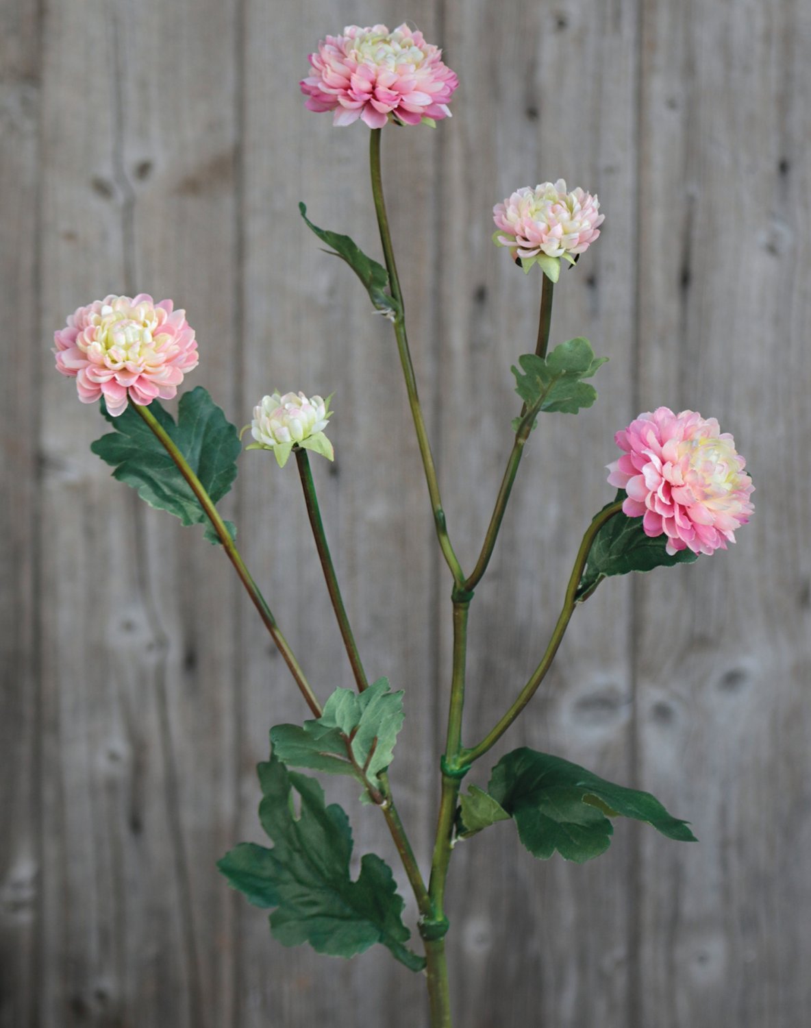 Künstliche Chrysantheme, 5-fach, 68 cm, rosa-grün