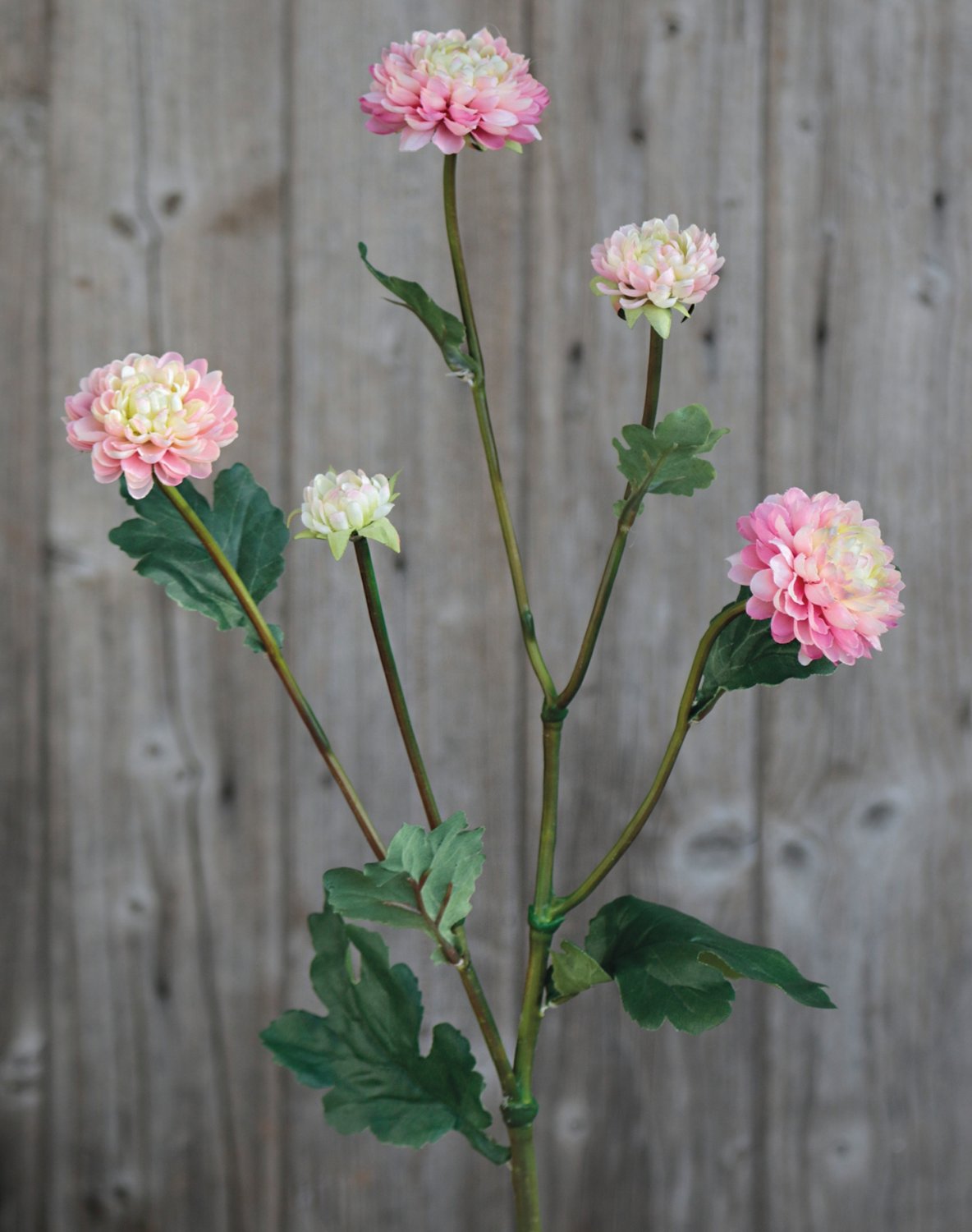 Faux Chrysanthemum, 5-flowers, 68 cm, pink-green