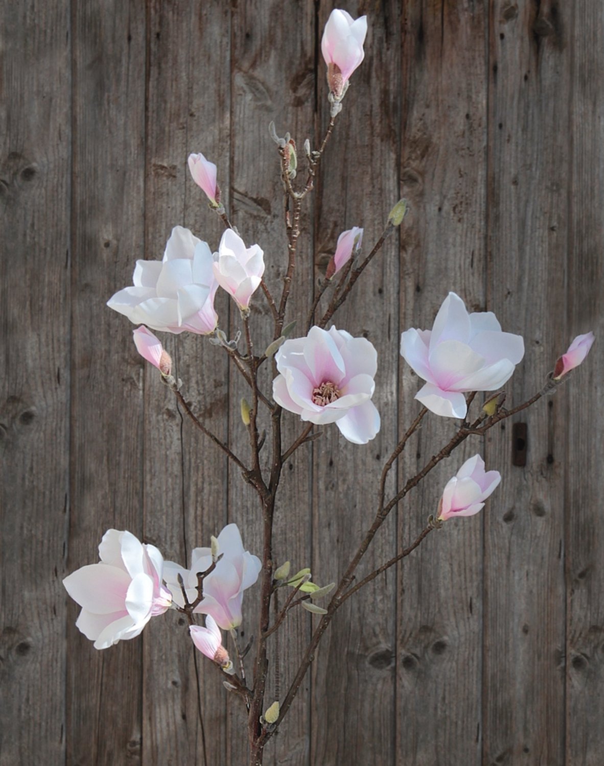 Künstlicher Magnolien Blütenzweig, 129 cm, weiß-rosa