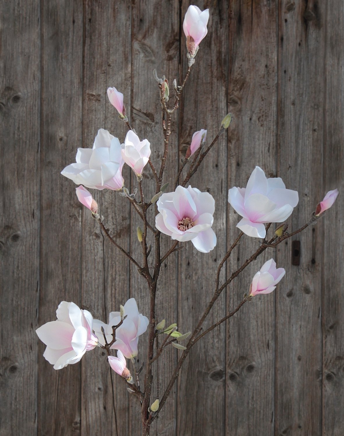 Ramita artificial de magnolia en flor, 129 cm, blanco-rosa Ramita artificial de magnolia en flor, 129 cm, blanco-rosa