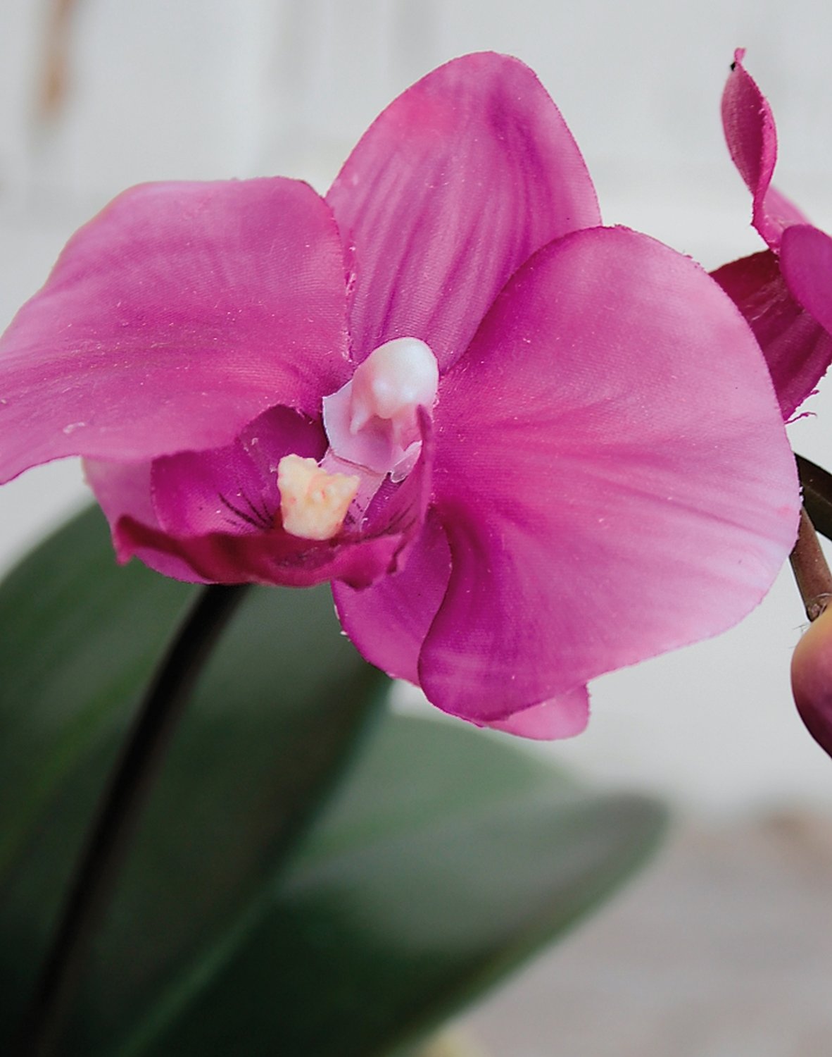 Künstliche Orchidee Phalaenopsis, getopft, 60 cm, Real Touch, cerise