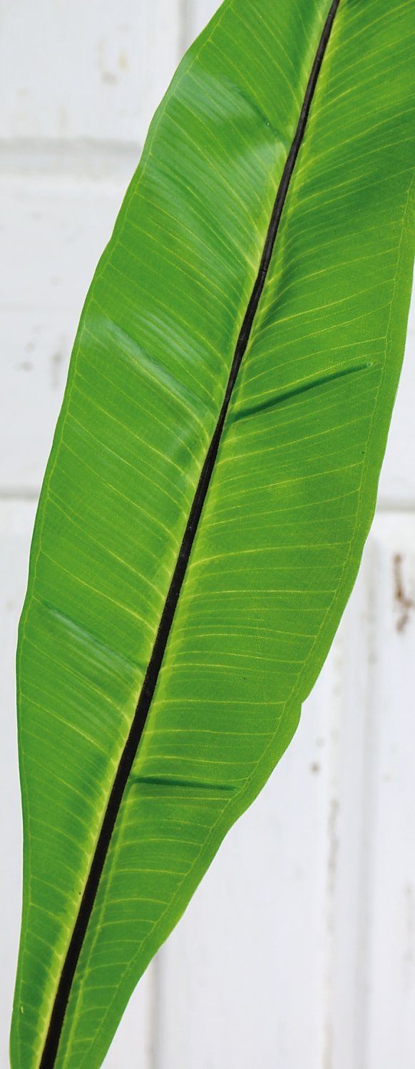 Artificial nest fern leaf, 97 cm, green