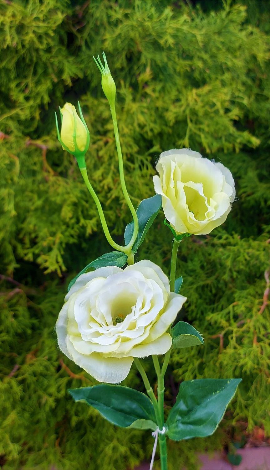Flor de lisianthus artificial de 67 cm, verde-crema Flor de lisianthus artificial de 67 cm, verde-crema