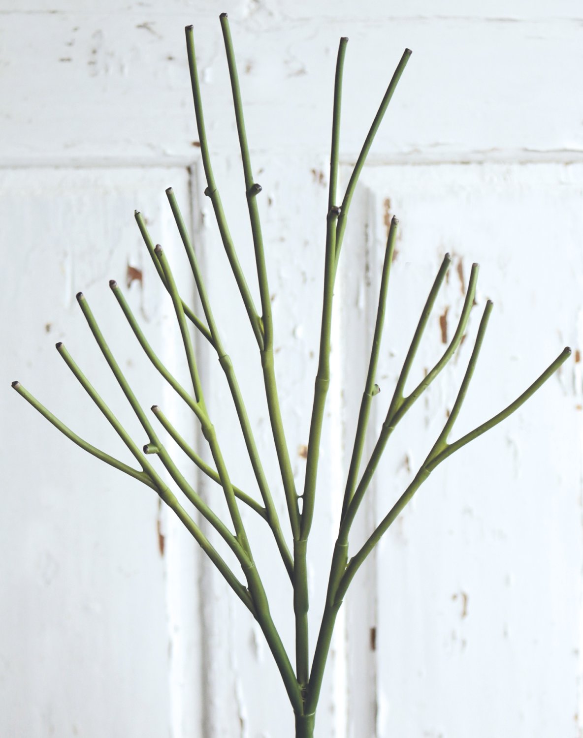 Artificial decorative twig 'pencil cactus', 50 cm, green