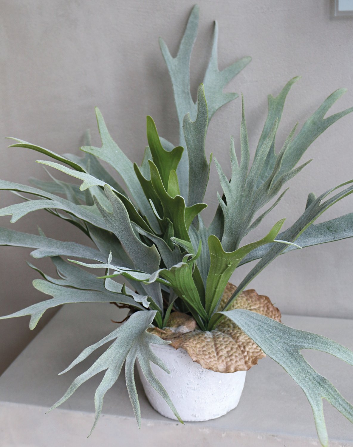 Künstlicher Geweihfarn, getopft, 50 cm, grün Künstlicher Geweihfarn, getopft, 50 cm, grün