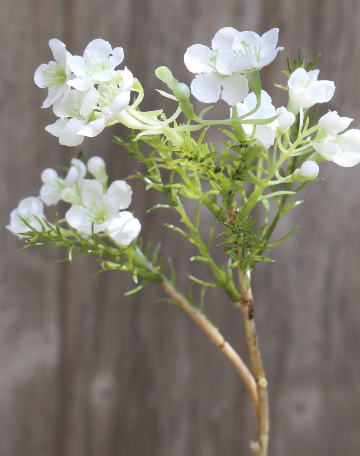 Künstliche Wachsblume, 25 cm, creme-weiß