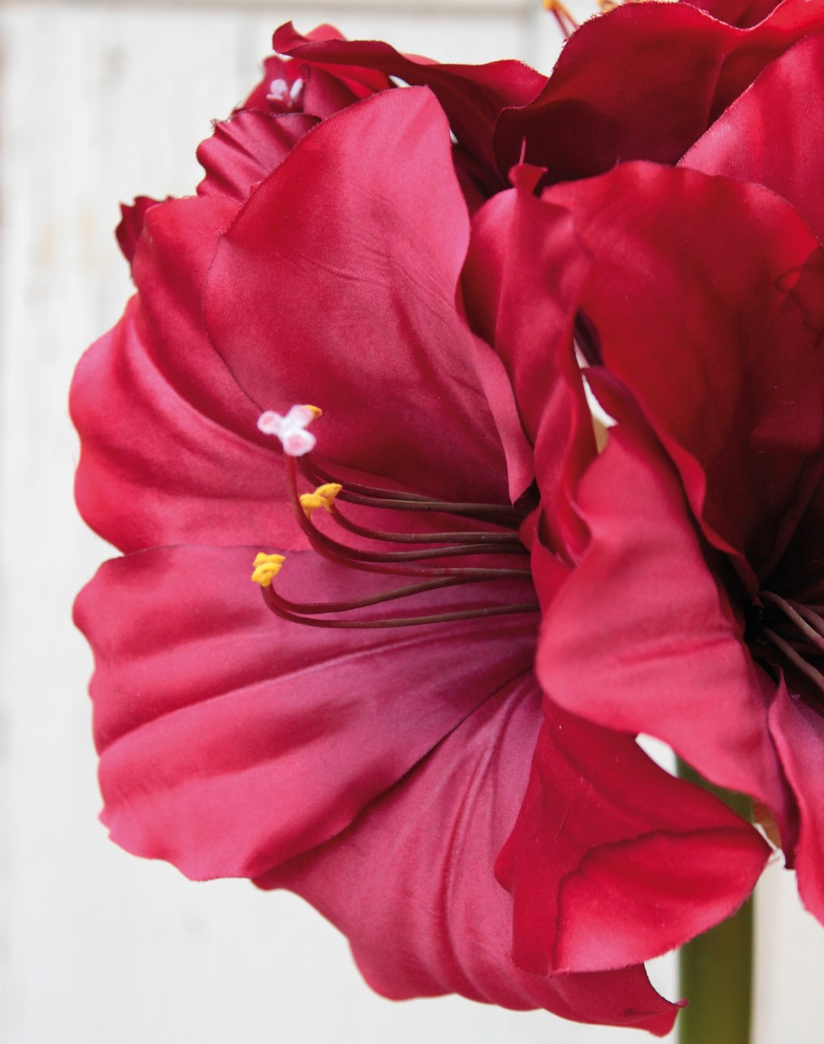 Silk amaryllis, 71 cm, red